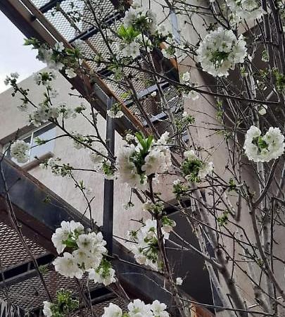 멘도사 El Cerezo 아파트 외부 사진