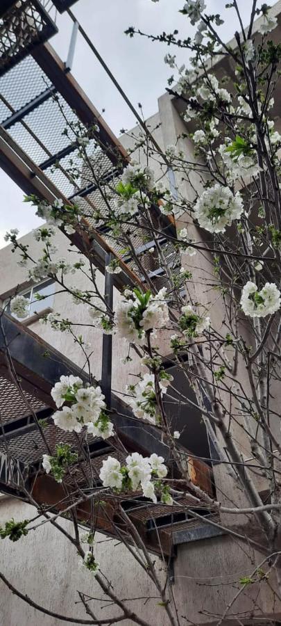 멘도사 El Cerezo 아파트 외부 사진